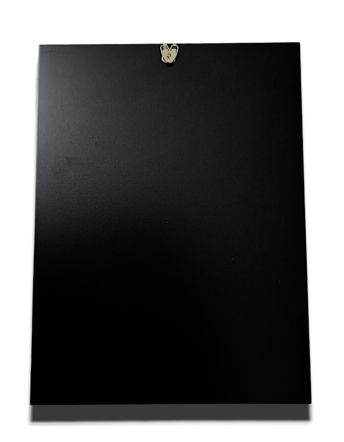 ICOANA 24-209
