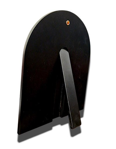 ICOANA TIP ARGINTATA 24-40