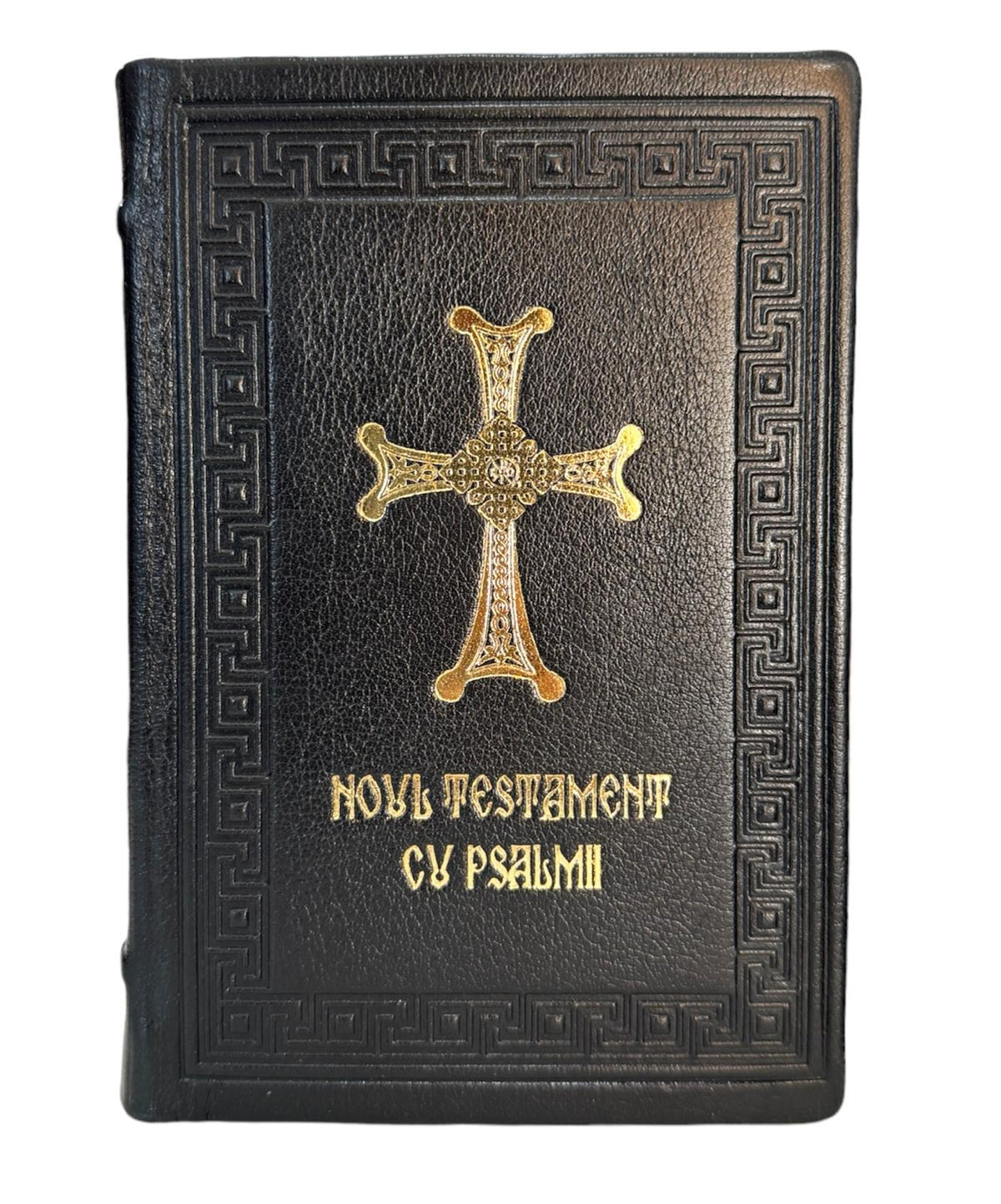 NOUL TESTAMENT CU PSALMII