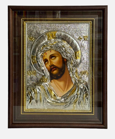 MANTUITORUL CU SPINI 1100-925