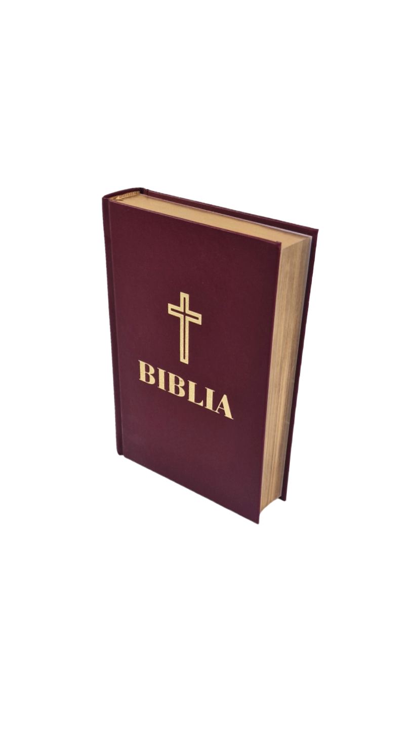 BIBLIA 053 GRENA / AURITA