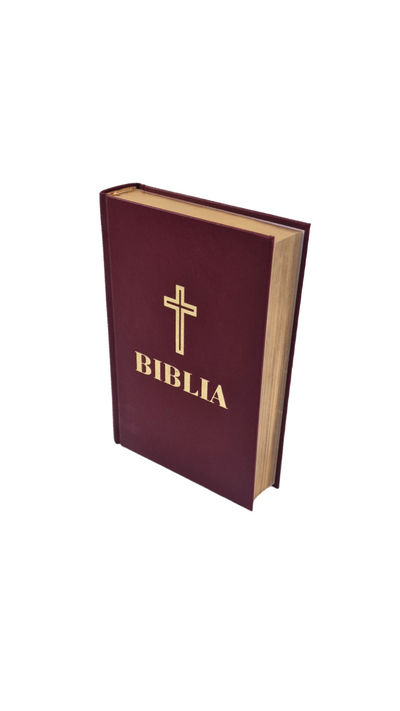 BIBLIA 053 GRENA / AURITA