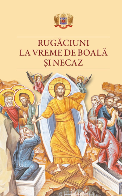 Rugaciuni la vreme de boală și necaz