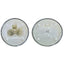 CANDELE 517-34
