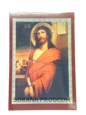 ICONITA PLASTIFIATA MANTUITORUL CU SPINI
