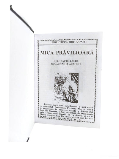 MICA PRAVILIOARA