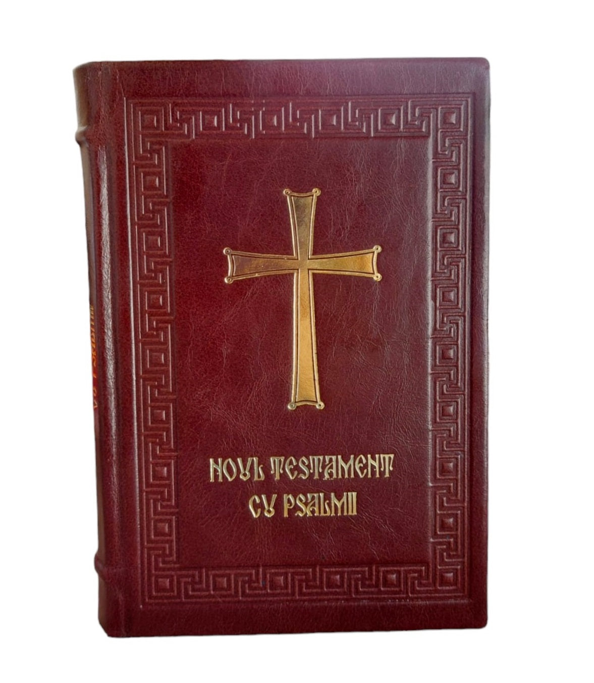 NOUL TESTAMENT CU PSALMII