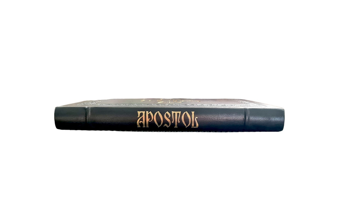 APOSTOL LEGAT IN PIELE-NEGRU