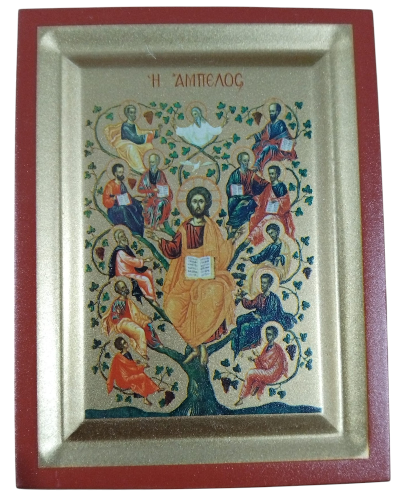 ARBORELE VIETII 906
